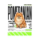 Camiseta Estampada Pomeranian - Regular - Miniatura 2