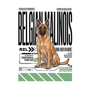 Camiseta Estampada Pastor Belga Malinois - Oversize