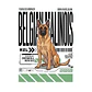 Camiseta Estampada Belga Malinois - Regular - Miniatura 2