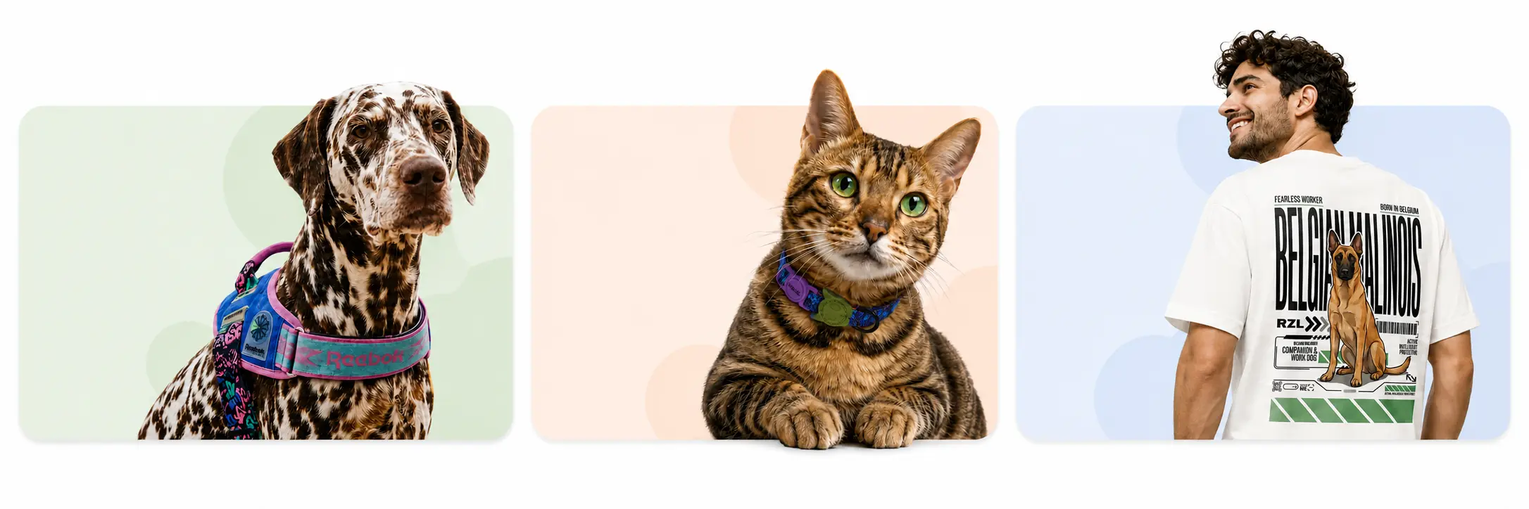 Compra por mascota en RazasLovers: perros, gatos y humanos