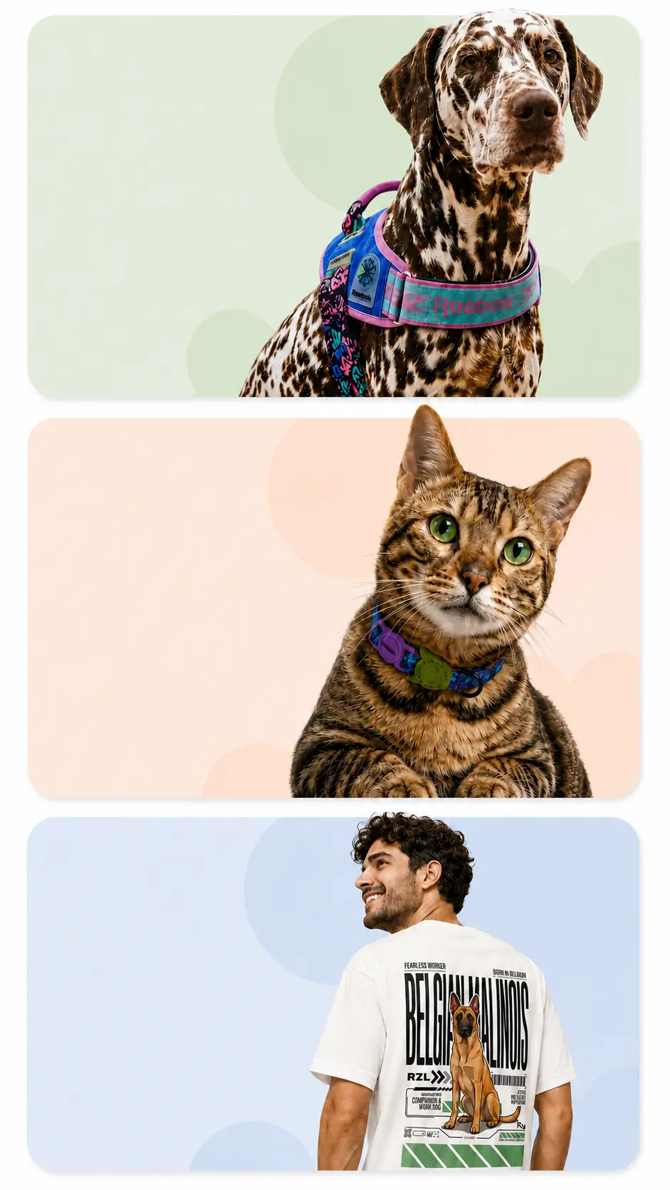 Compra por mascota en RazasLovers: perros, gatos y humanos