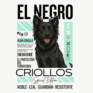 Camiseta Estampada Criollos 