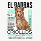 Camiseta Estampada Criollos 