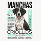 Camiseta Estampada Criollos 