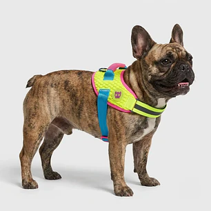 Arnés para perros Flyharness CMYK