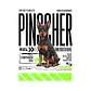 Camiseta Estampada Pinscher - Regular - Miniatura 5