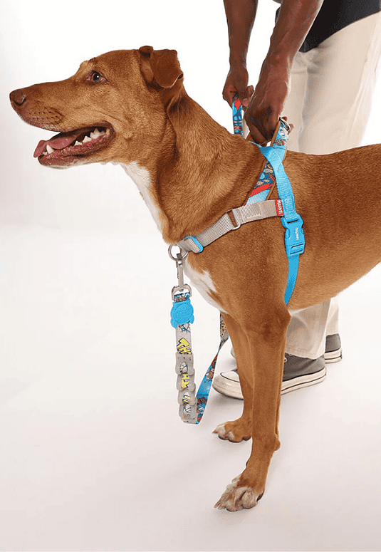 Softer walk harness