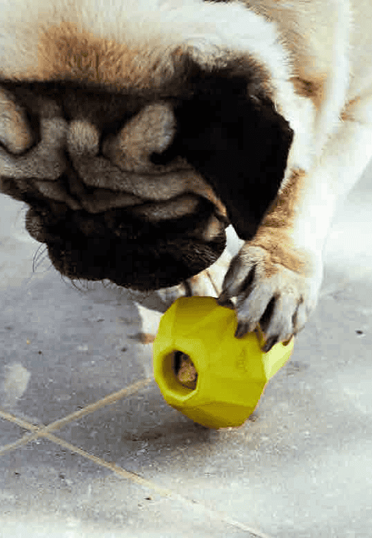 Juguetes perro dispensador de golosinas