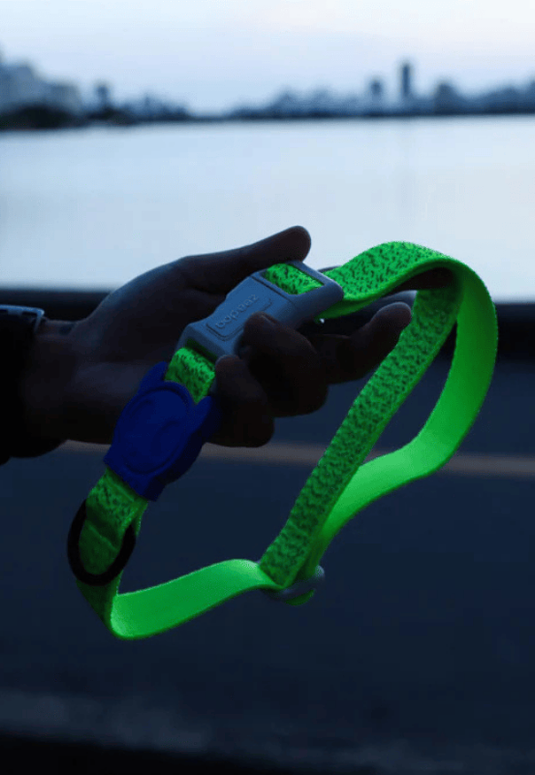 Collares perro Reflectivos