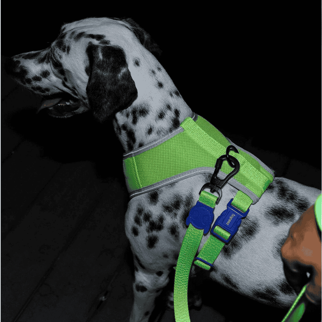 NOX reflectiva ZEEDOG