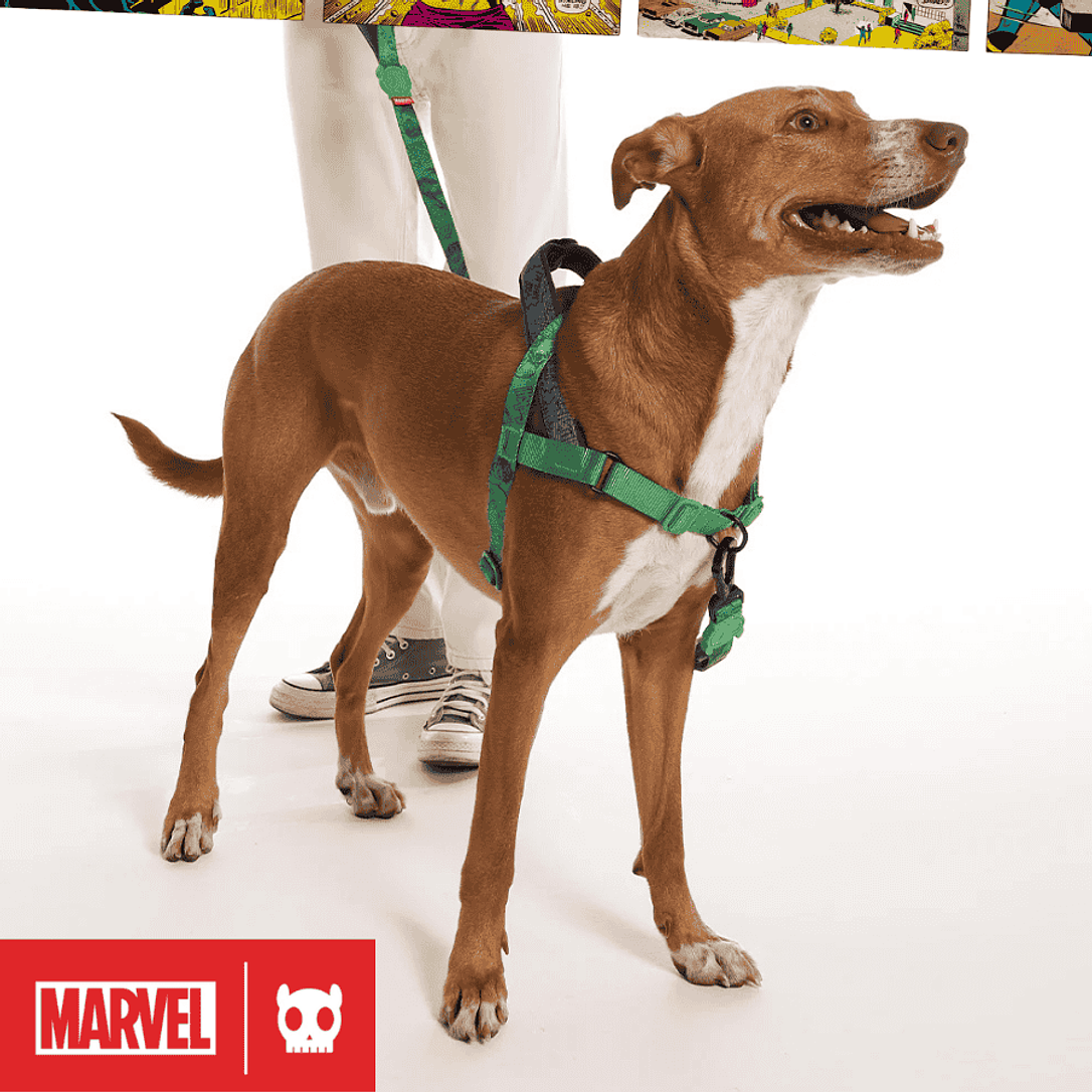 Marvel de ZEEDOG