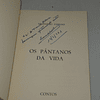 Os pântanos da vida