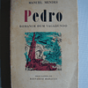 Pedro, romance de um vagabundo