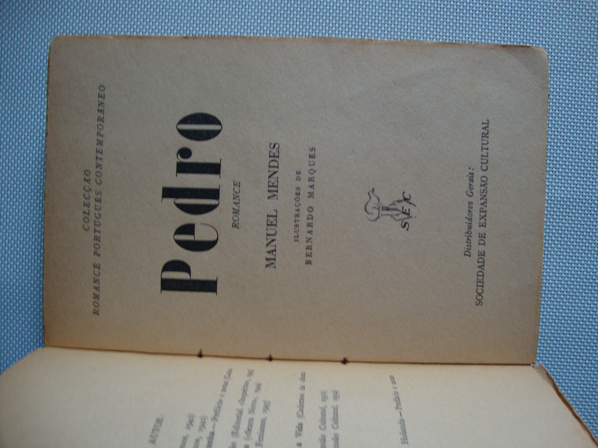 Pedro, romance de um vagabundo