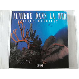 Lumiere dans la mer