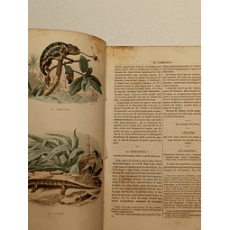 Histoire Naturelle de Lacépède (2 Tomos)