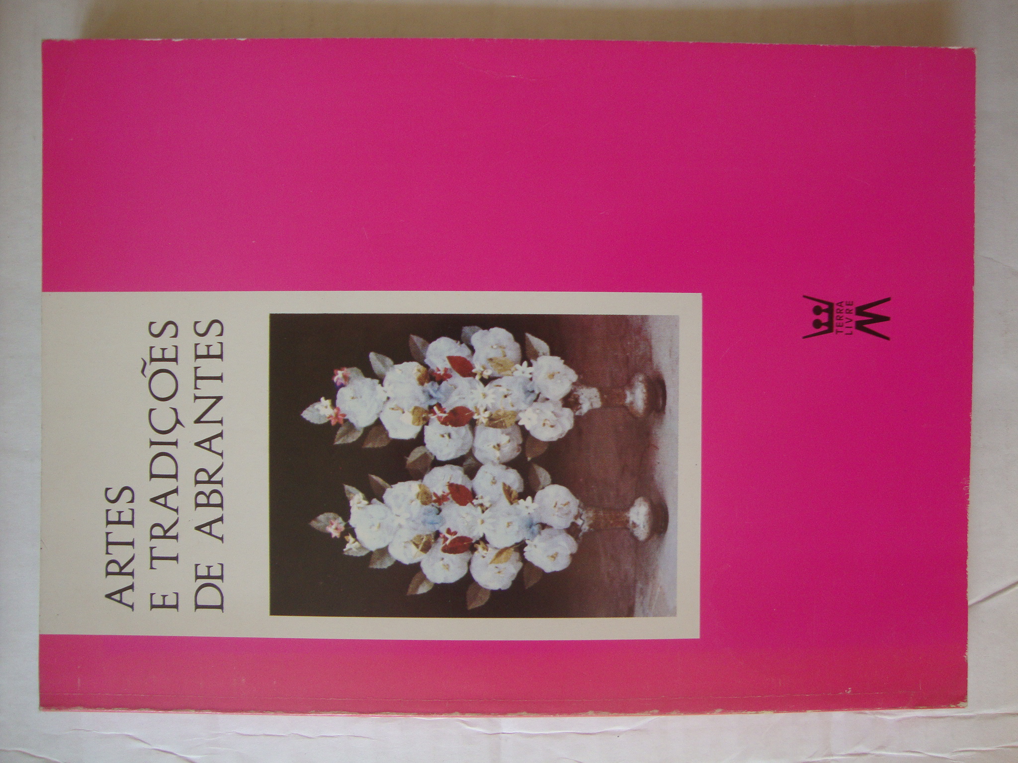 Artes e tradições de Abrantes (5)