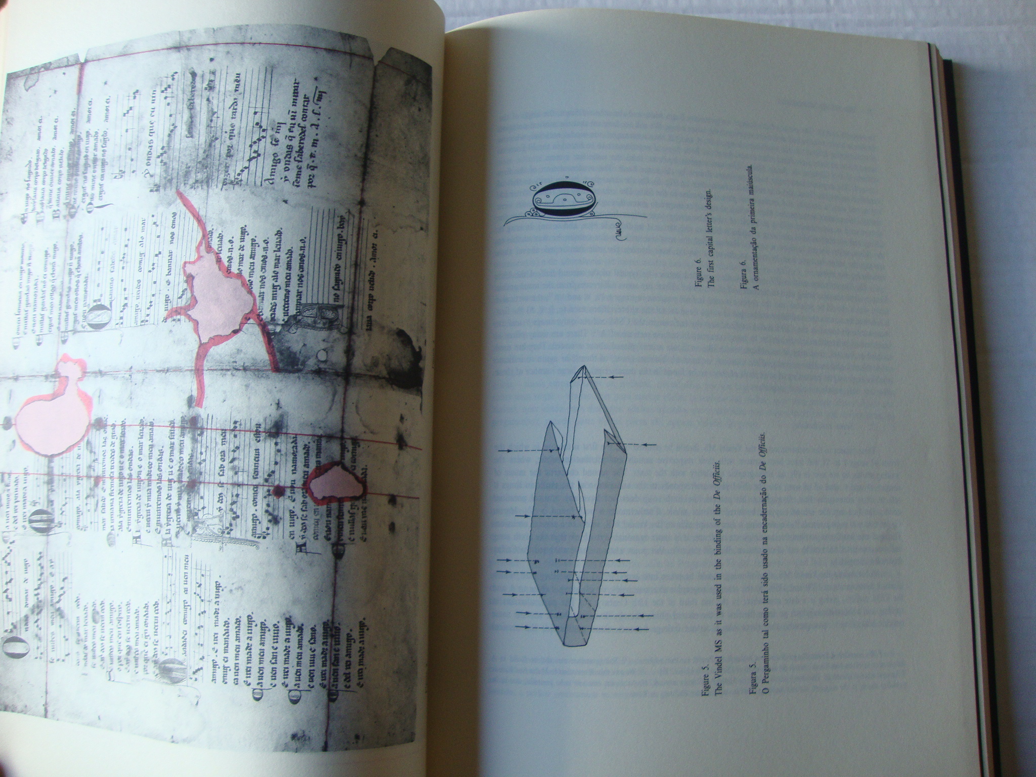 O som de Martin Codax