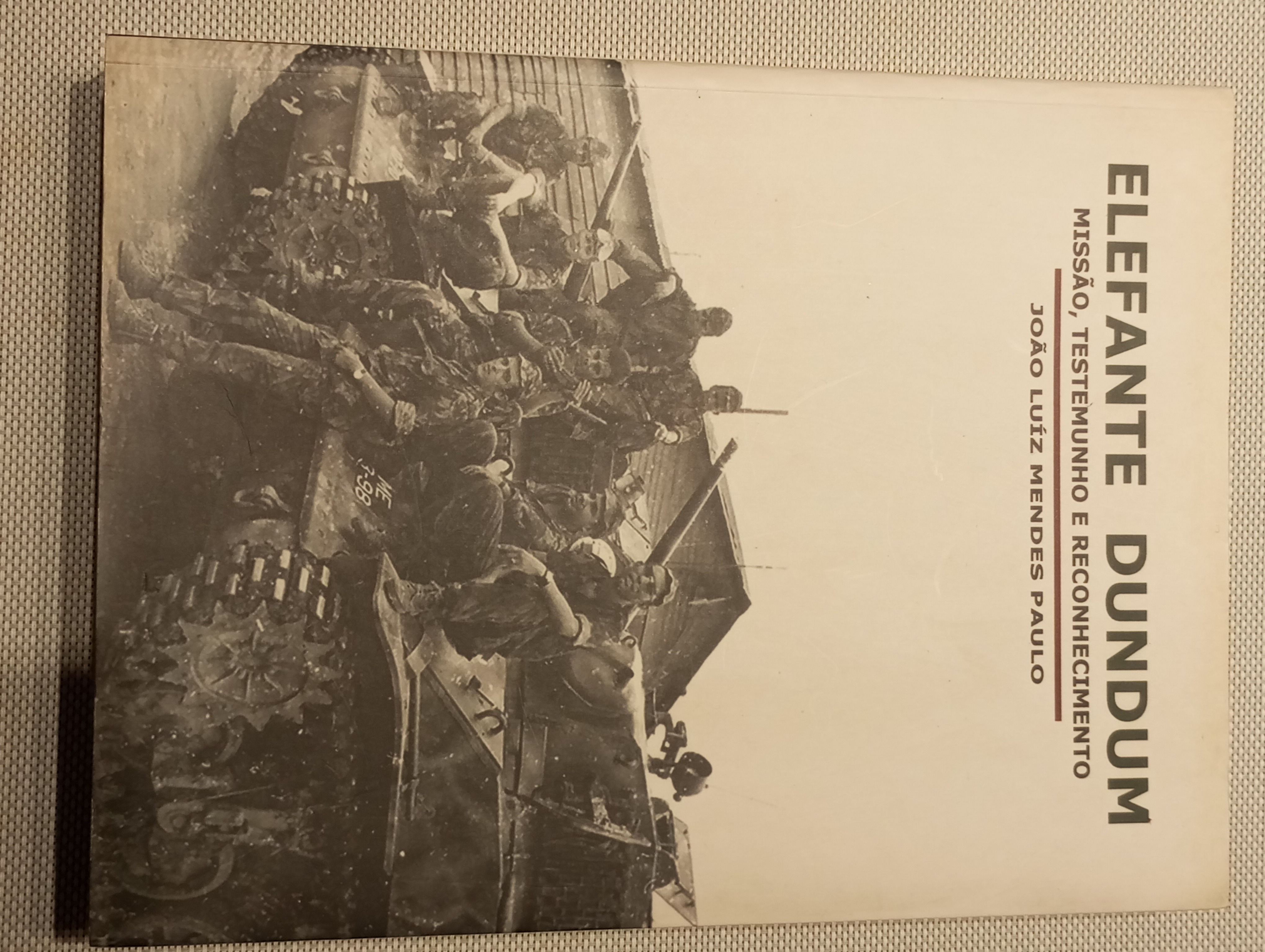 ELEFANTE DUNDUM - Missão, testemunho e reconhecimento