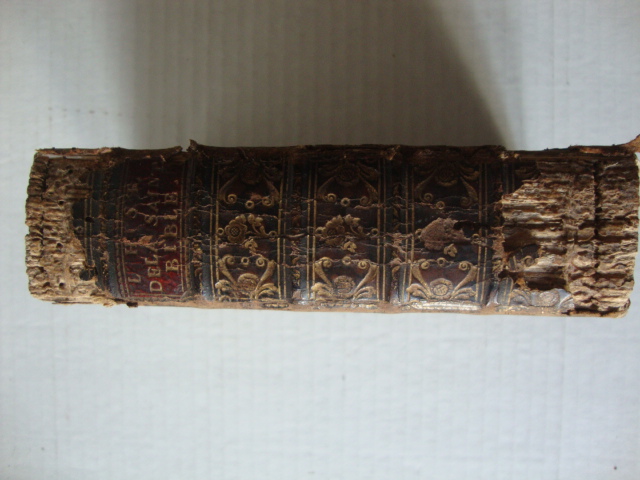 L`Histoire du Vieux et du Nouveau Testament avec des Explications…