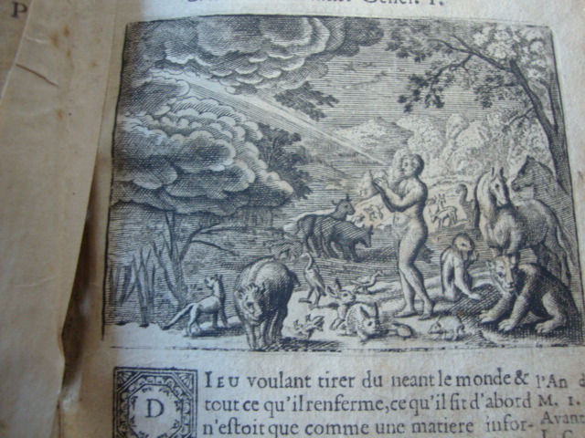 L`Histoire du Vieux et du Nouveau Testament avec des Explications…