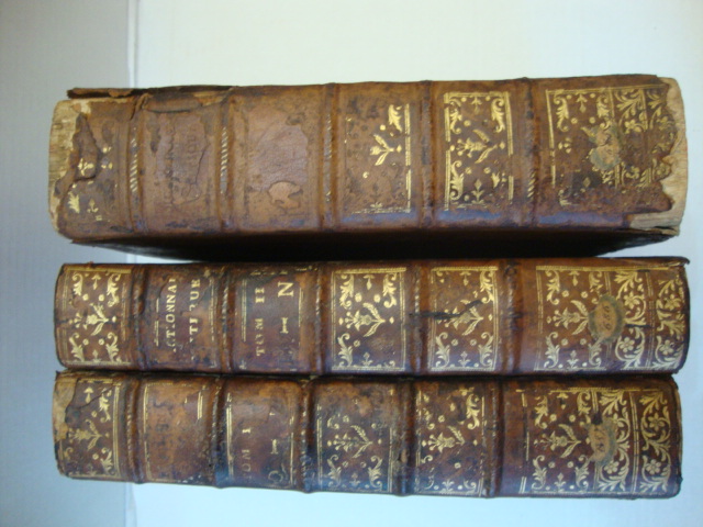 Dictionaire Critique de la Langue Française