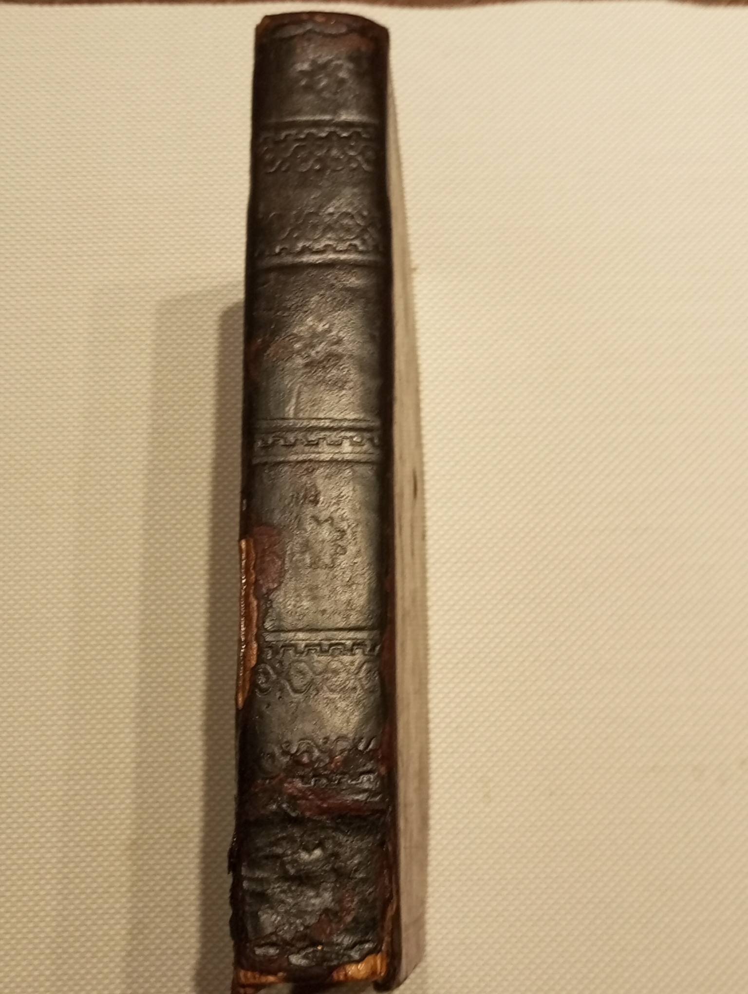 A dolorosa paixão de Nosso Senhor Jesus Christo segundo...