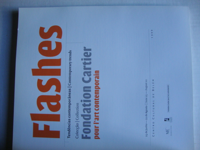 Flashes- Tendências Contemporâneas/ Contemporary Trends