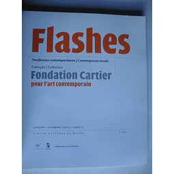 Flashes- Tendências Contemporâneas/ Contemporary Trends