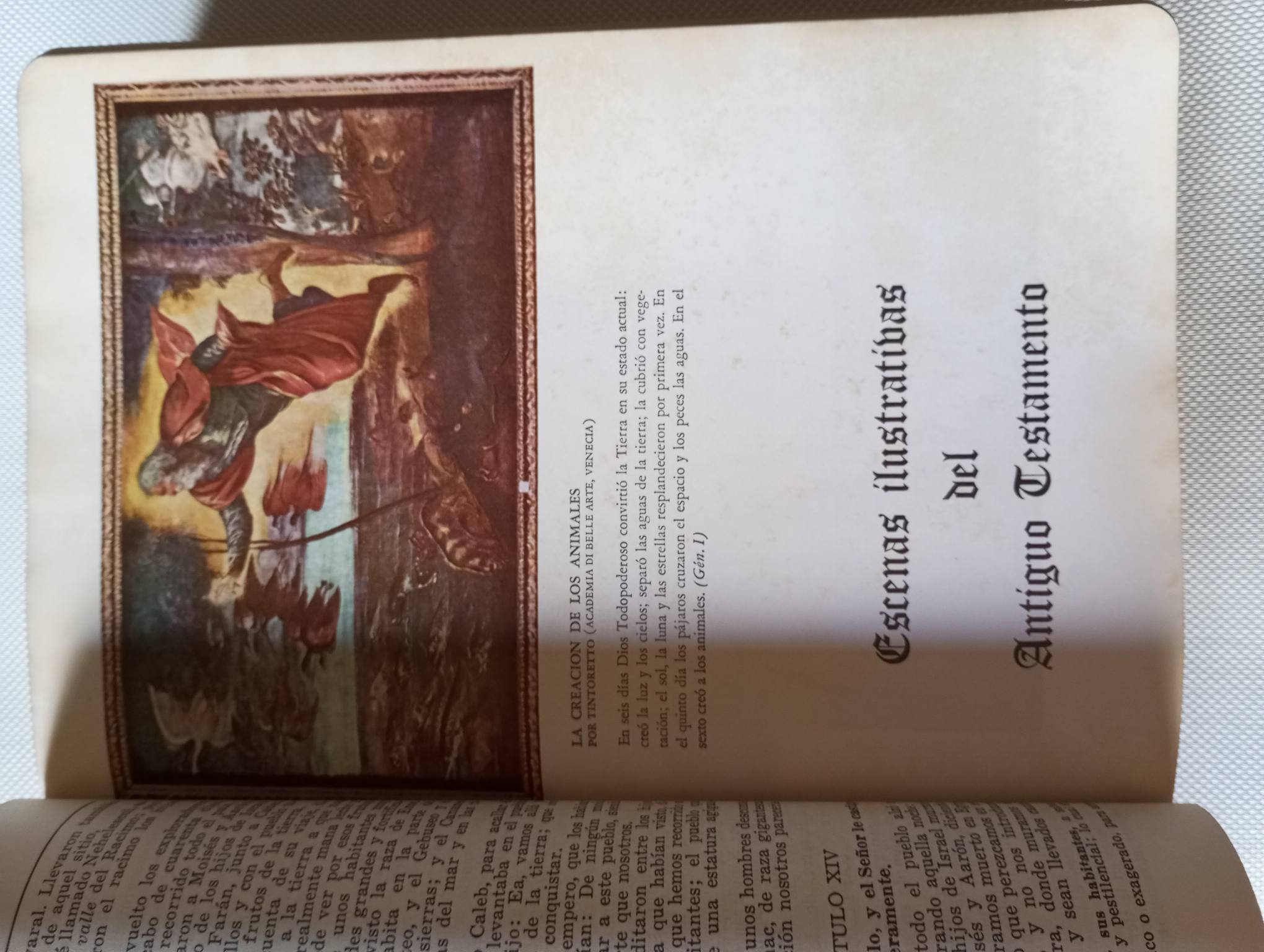 Sagrada Bíblia (Edição Castelhana)