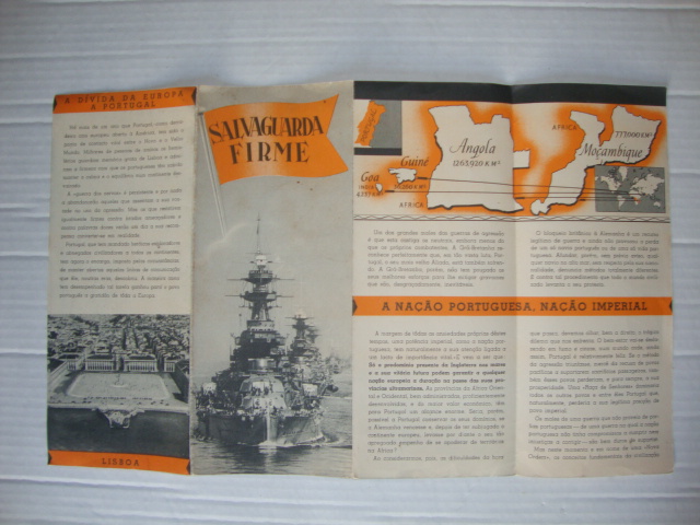 Propaganda Salvaguarda Firme