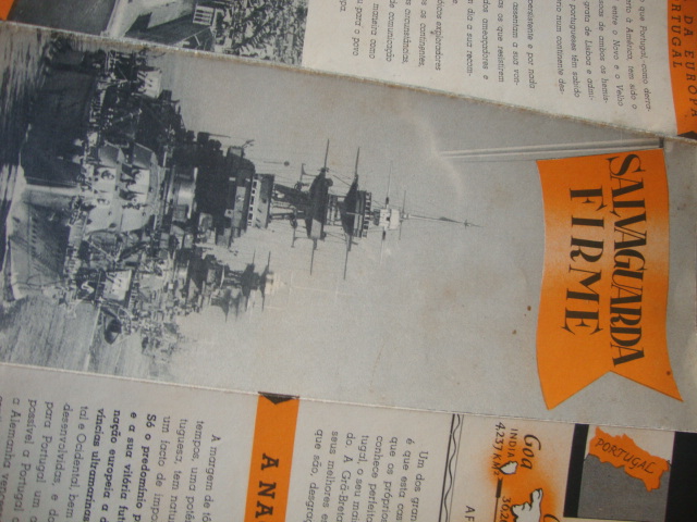 Propaganda Salvaguarda Firme