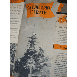 Propaganda Salvaguarda Firme