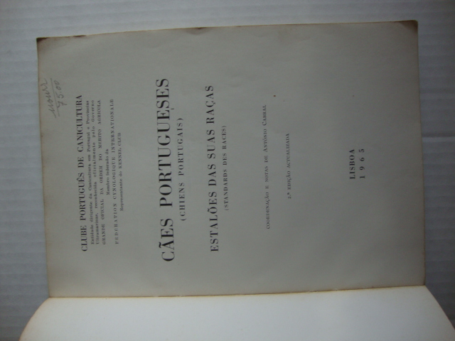 Cães Portugueses- Estalões das suas raças