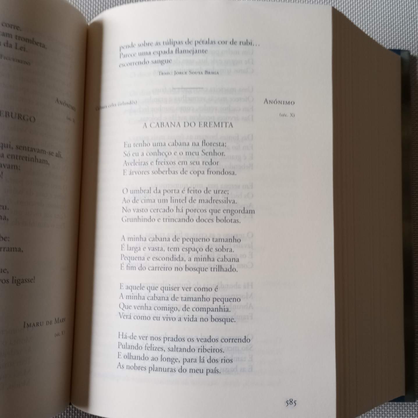 Rosa do Mundo- 2001 poemas para o futuro