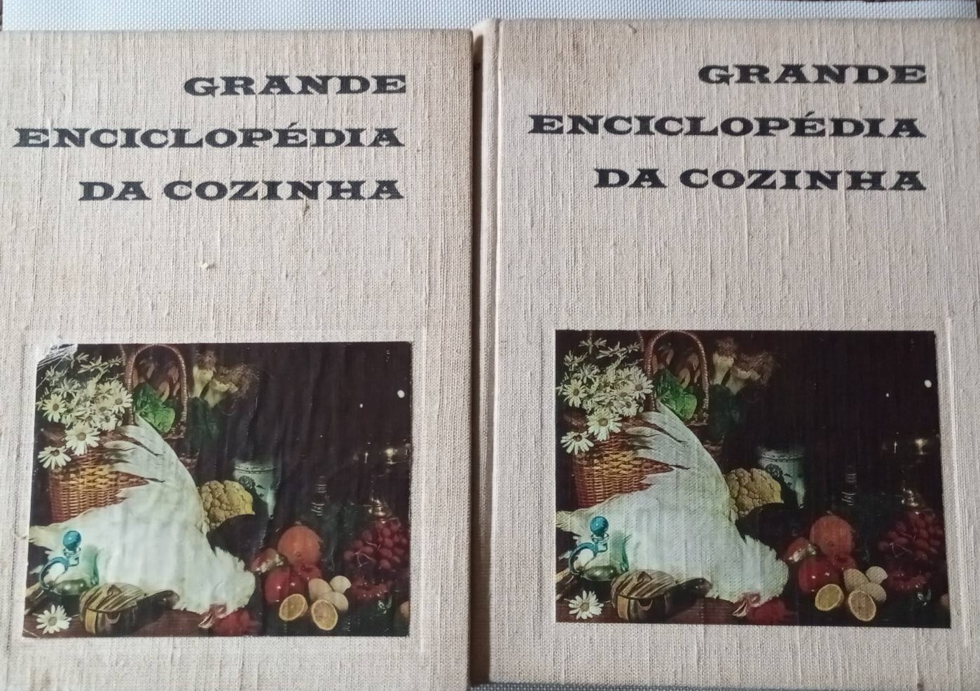 Grande Enciclopédia de Cozinha