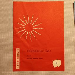 Perseguição (8)