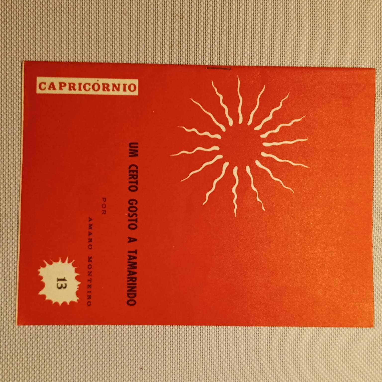 Um certo gosto a tamarindo (13)