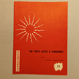 Um certo gosto a tamarindo (13)