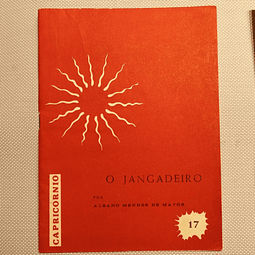 O jangadeiro (17)