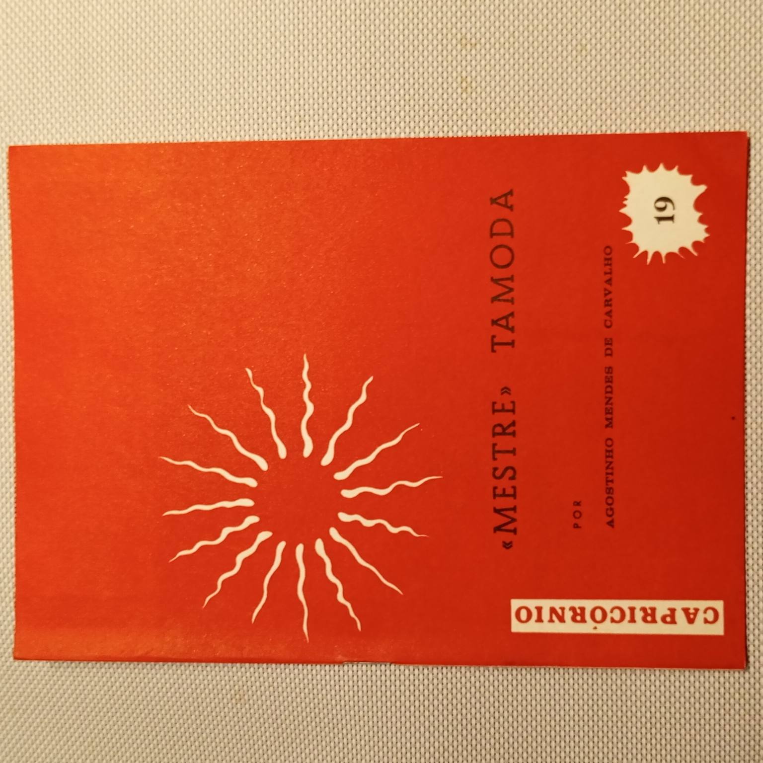 O "mestre" Tamoda (19)