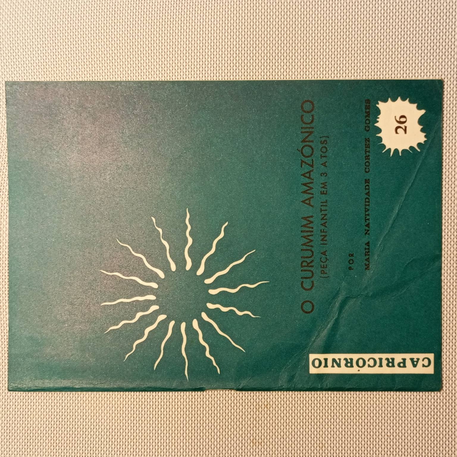 O Curumim Amazónico Peça infantil em 3 actos (26)