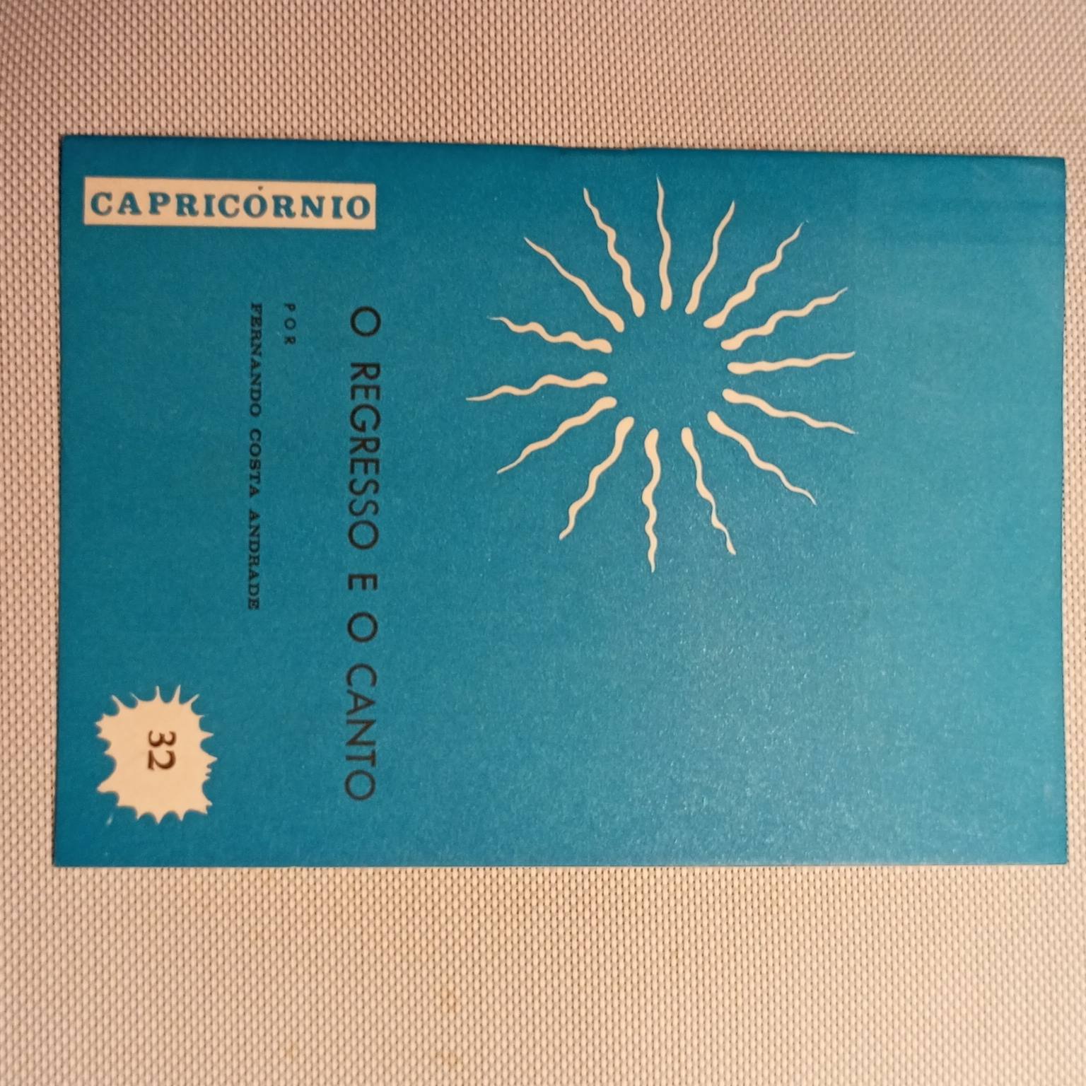 O regresso e o canto (32)