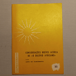 Considerações breves acerca de "O dilúvio africano" (33)