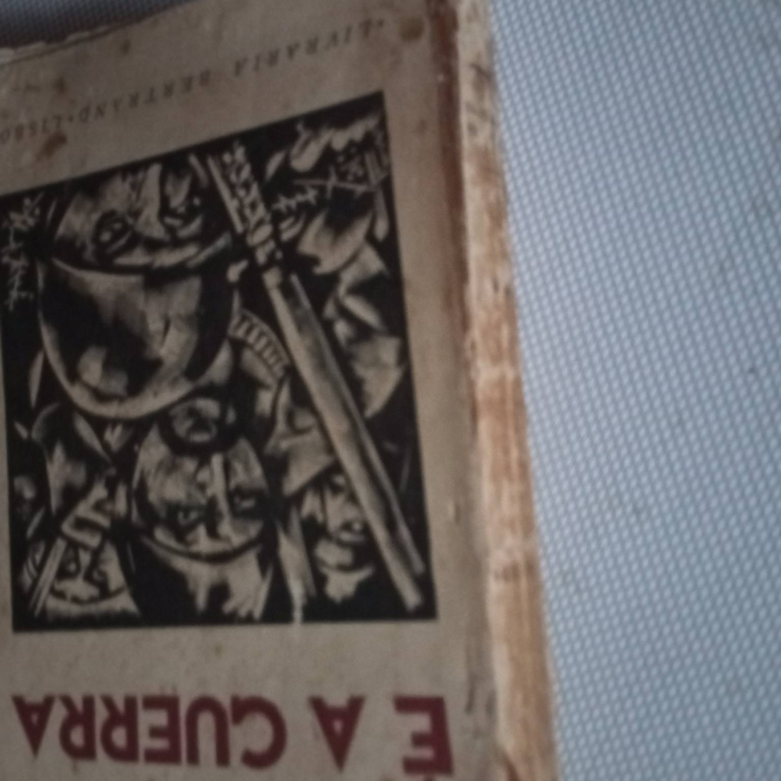 É a guerra (Diário)