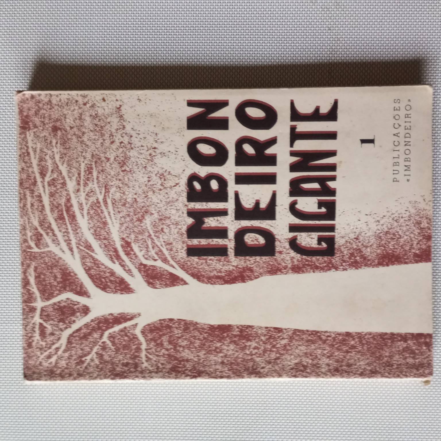 Imbondeiro Gigante 1