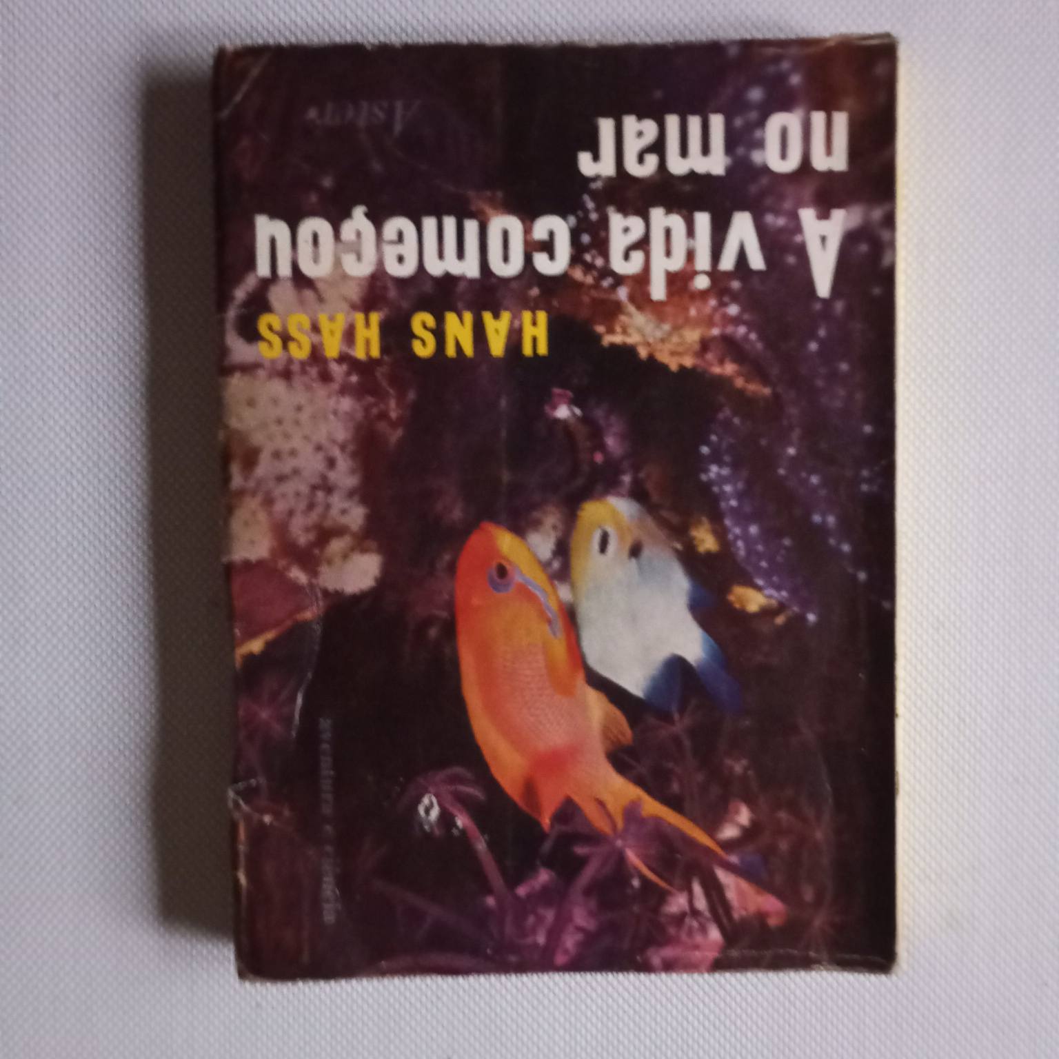 A vida começou no mar