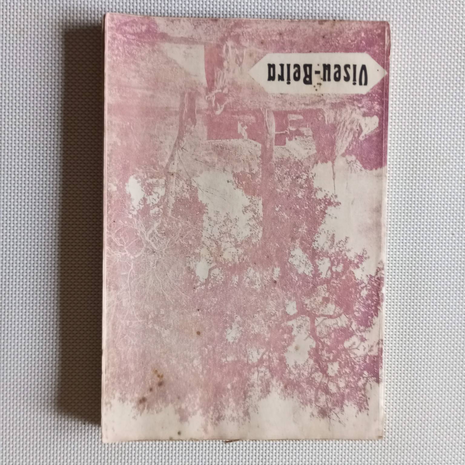 Turismo português- Viseu- Beira