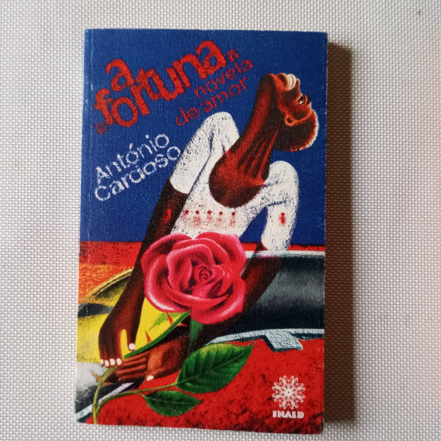 A fortuna, novela de amor