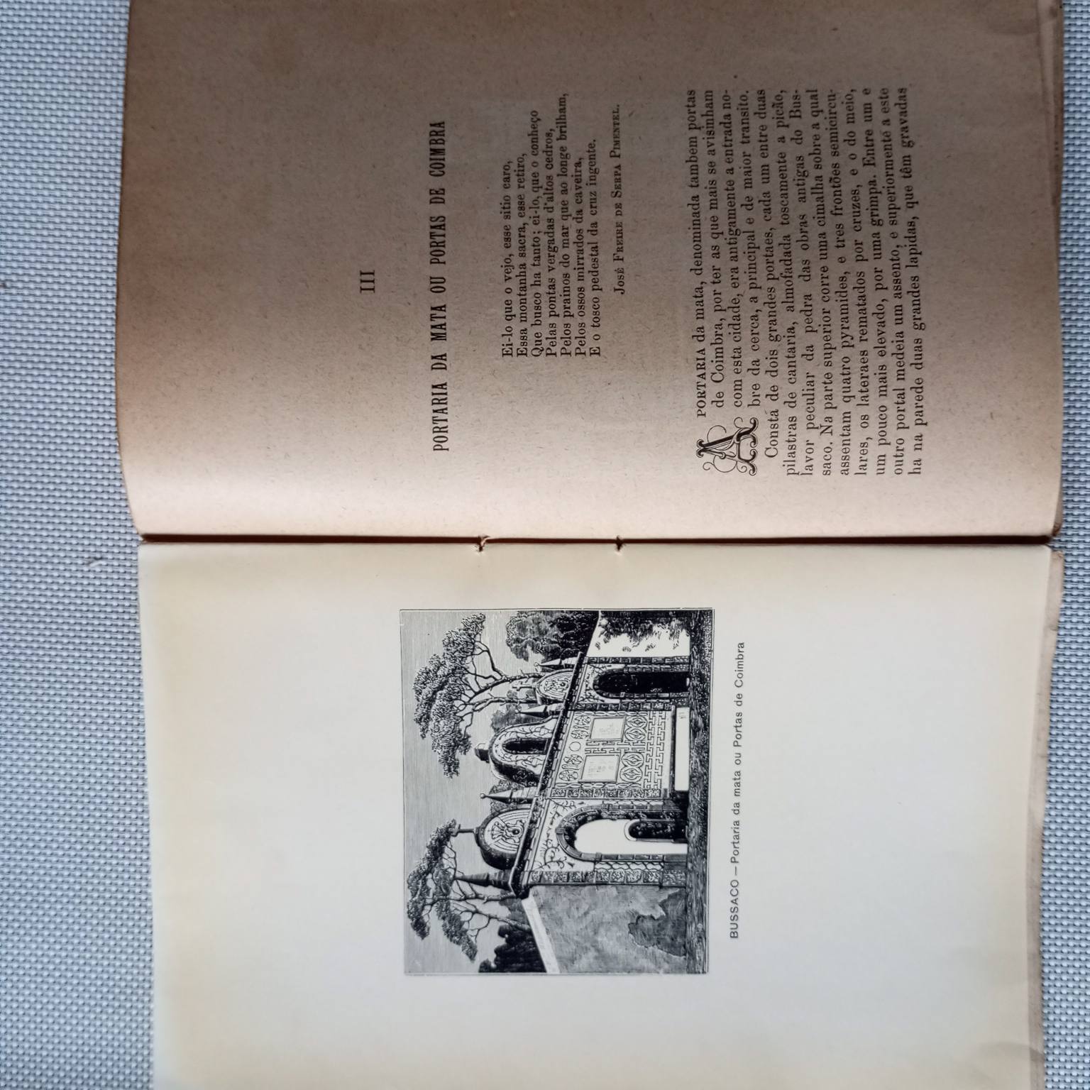 Guia histórico do viajante no Bussaco